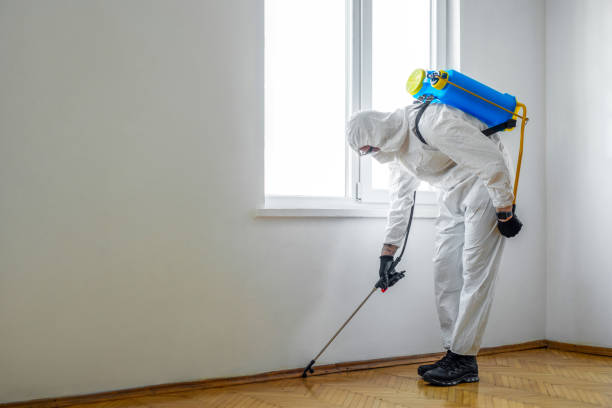 Best Real Estate Pest Inspections  in Ortonville, MI